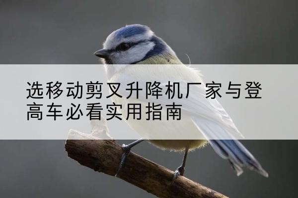弥勒电动升降机厂家-选移动剪叉升降机厂家与登高车必看实用指南