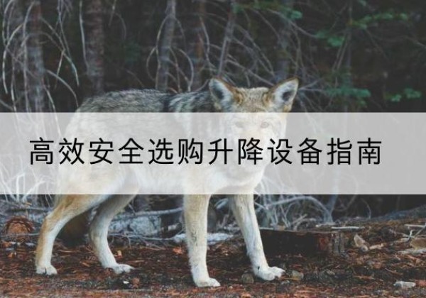 弥勒升降货梯厂家推荐-*安全选购升降设备指南