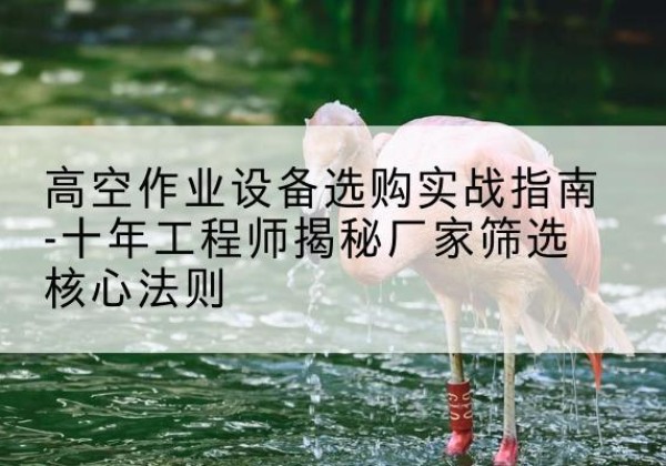 弥勒剪叉式升降机厂家-高空作业设备选购实战指南-十年工程师揭秘厂家筛选核心法则